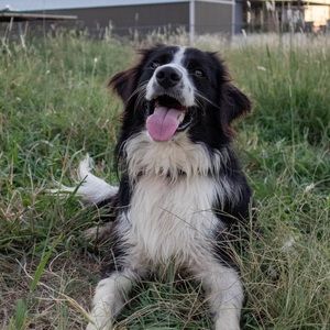 Meet your Posher, Anderson